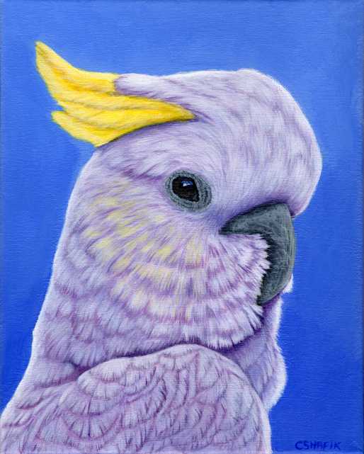 Original Birds in Acrylic (8x10 inch canvas)