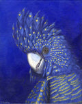 Black Cockatoo acrylic painting