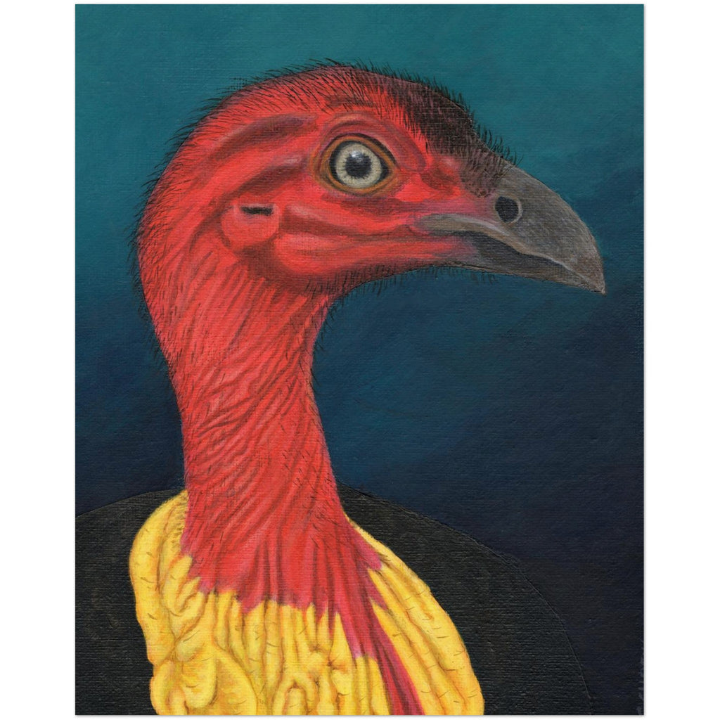 Bush Turkey Portrait 8x10 inches printed on Archival paper