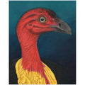 Bush Turkey Portrait 8x10 inches printed on Archival paper