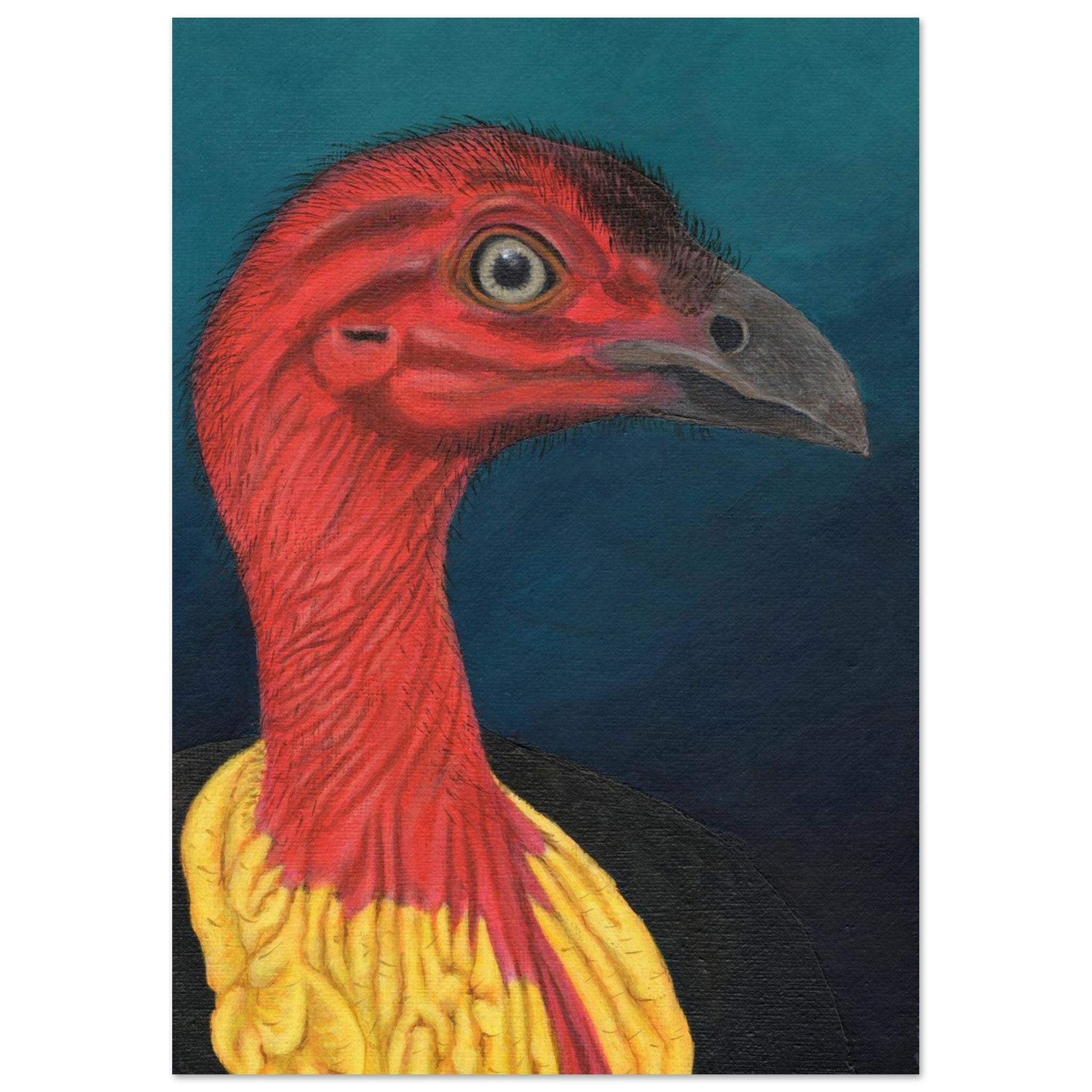 Bush Turkey Portrait A4 printed on Archival paper