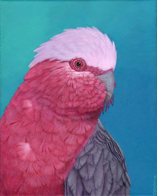 Galah acrylic painting