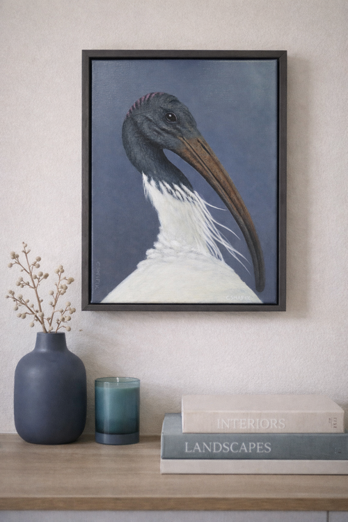 Australian Ibis acrylic painting on wall