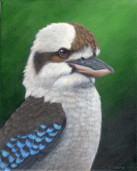 Kookaburra acrylic painting