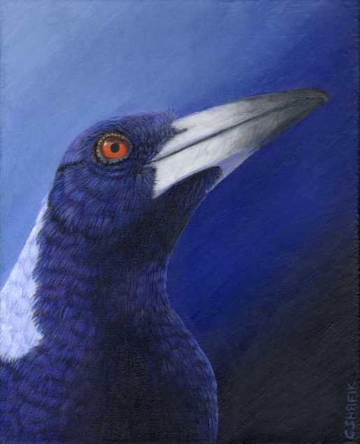 Magpie acrylic painting
