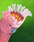 Major Mitchell Cockatoo acrylic painting