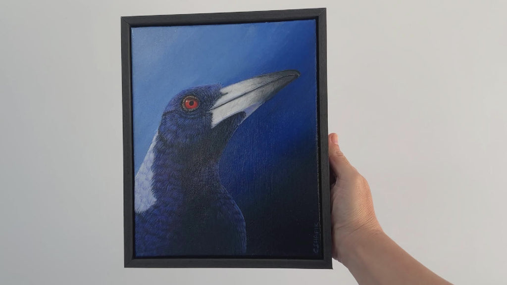 Video of a Magpie acrylic painting