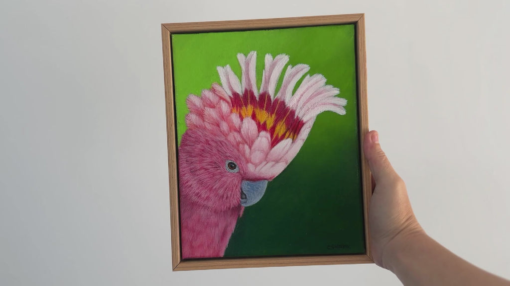 Video of a Major Mitchell Cockatoo acrylic painting