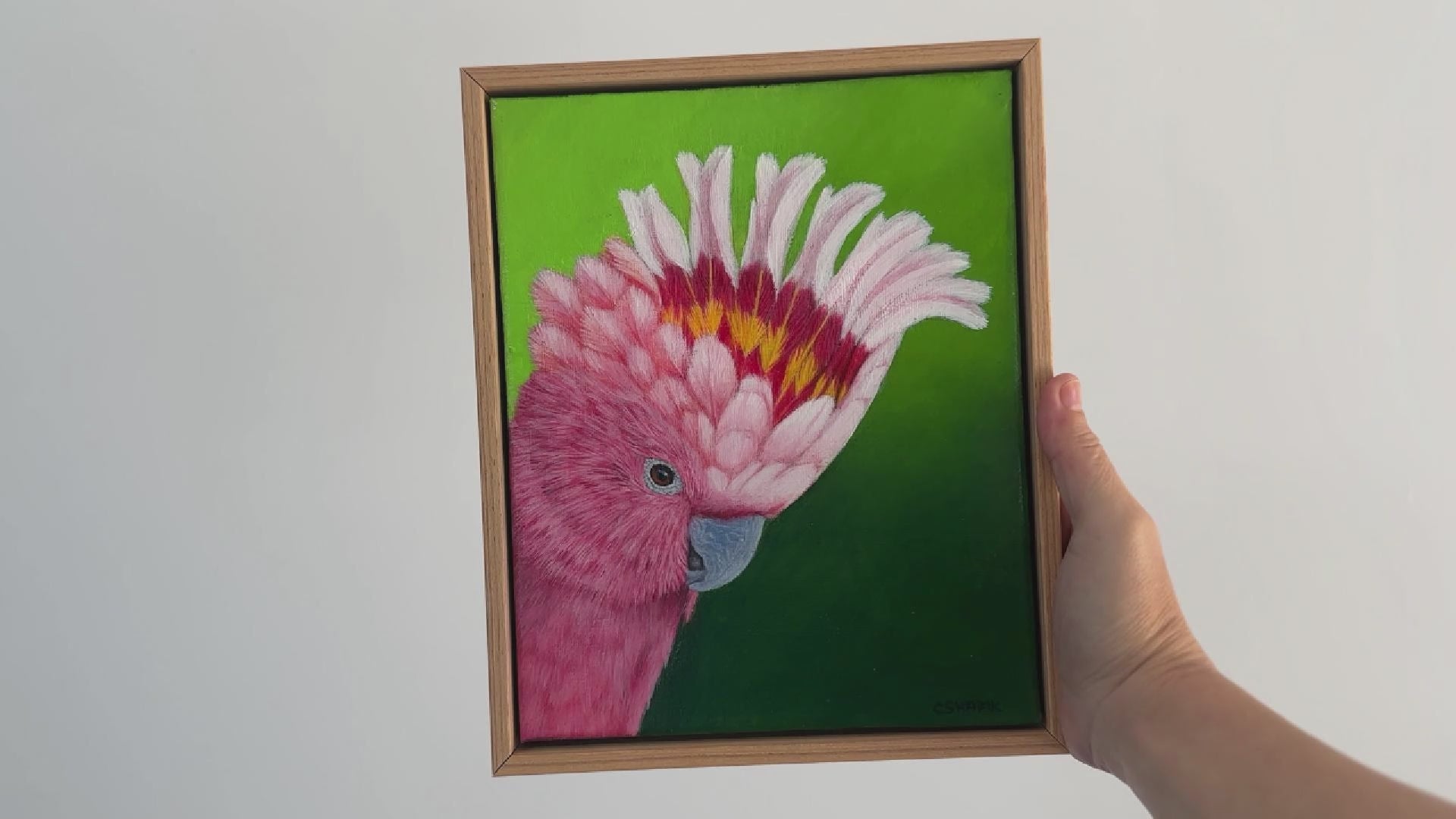 Video of a Major Mitchell Cockatoo acrylic painting