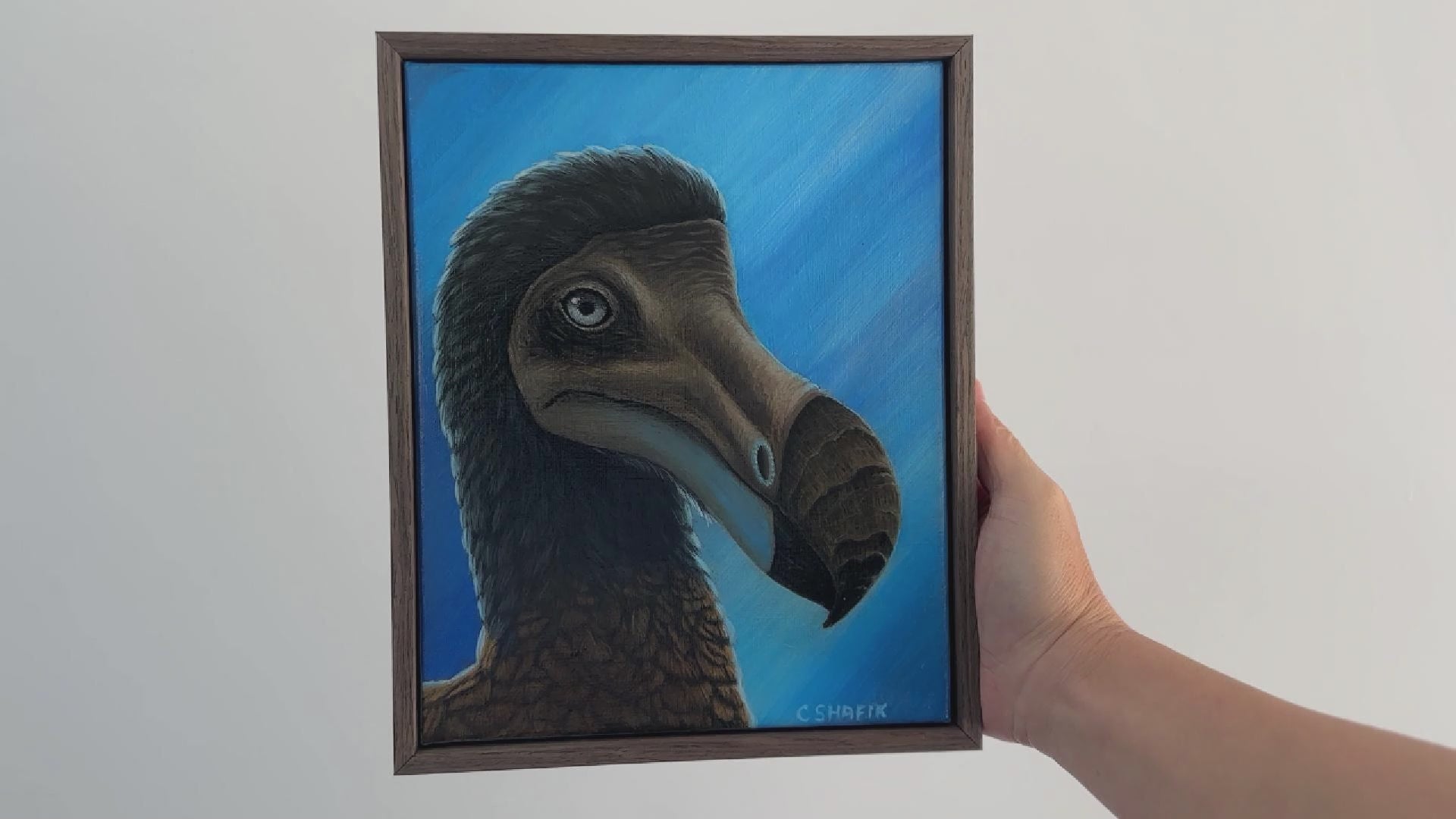 Video of a Dodo acrylic painting