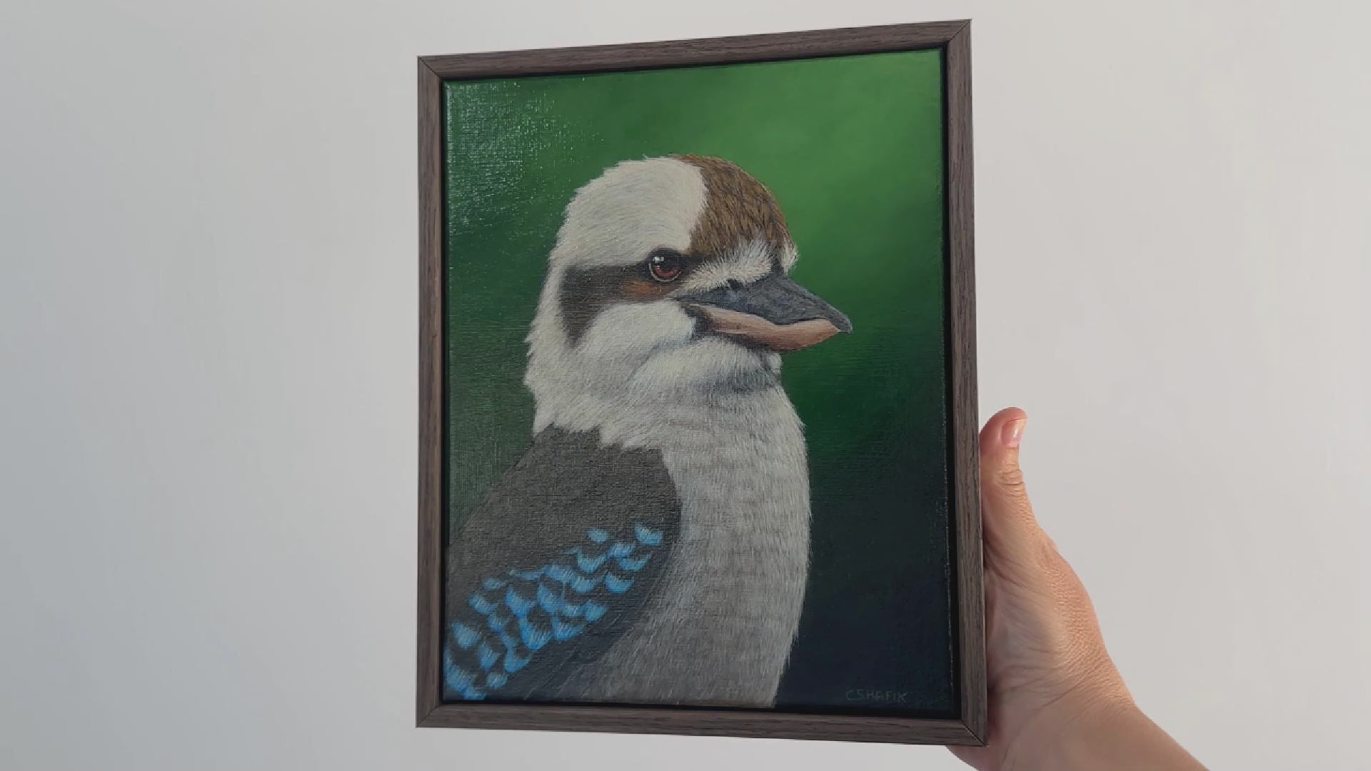 Video of Kookaburra acrylic painting