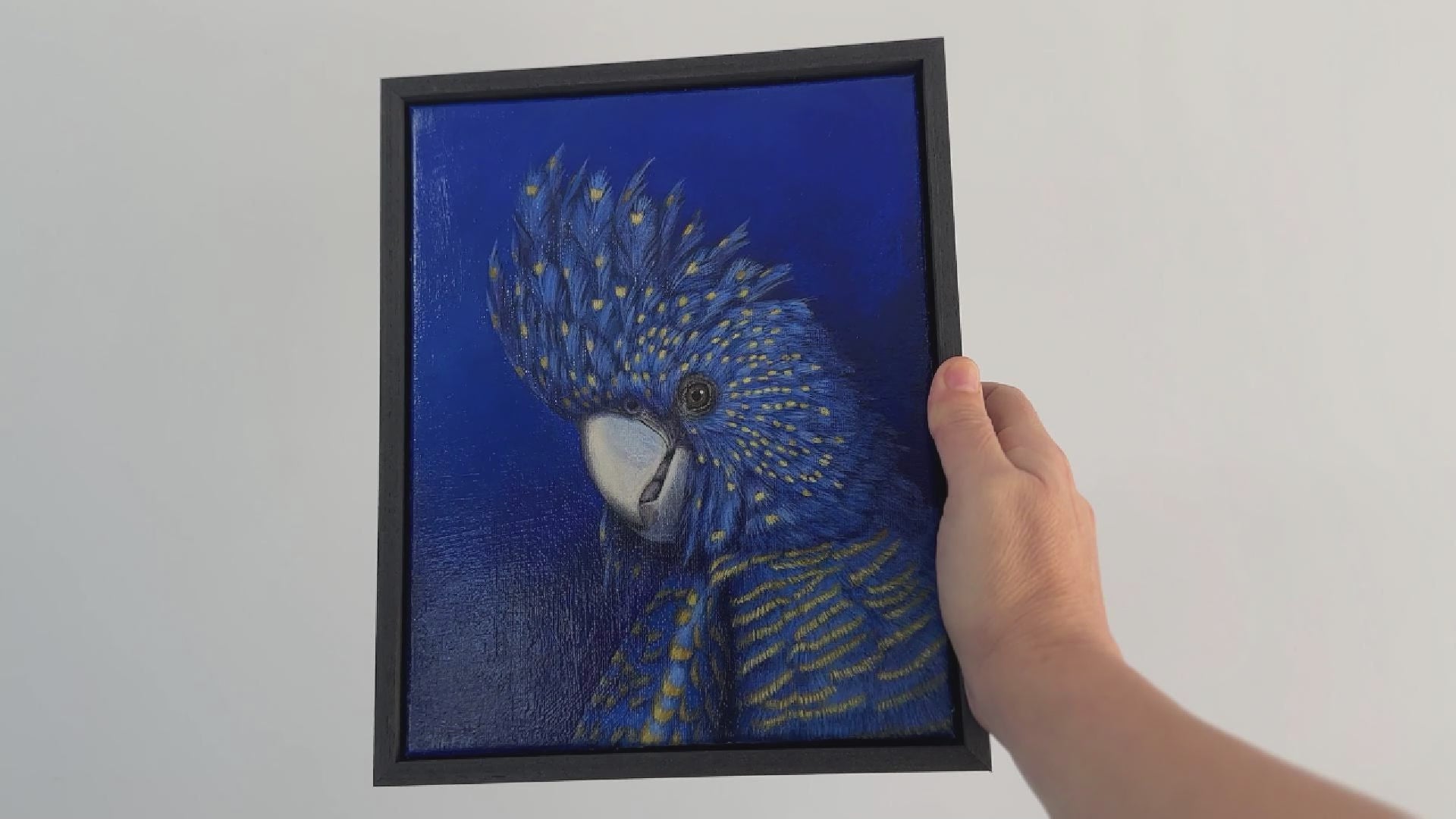 Video of a Black Cockatoo acrylic painting