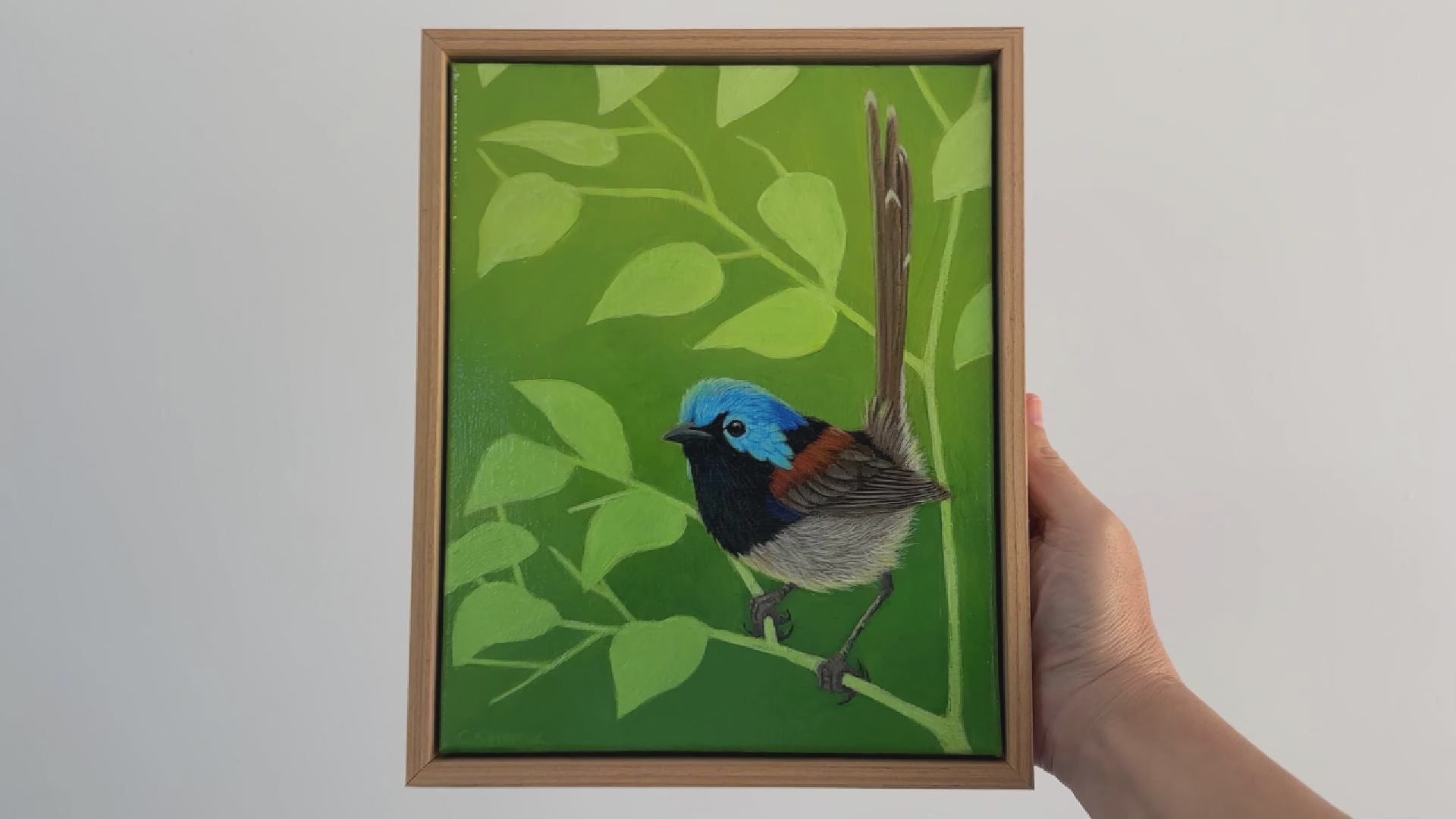 Video of a Variegated Fairywren acrylic painting