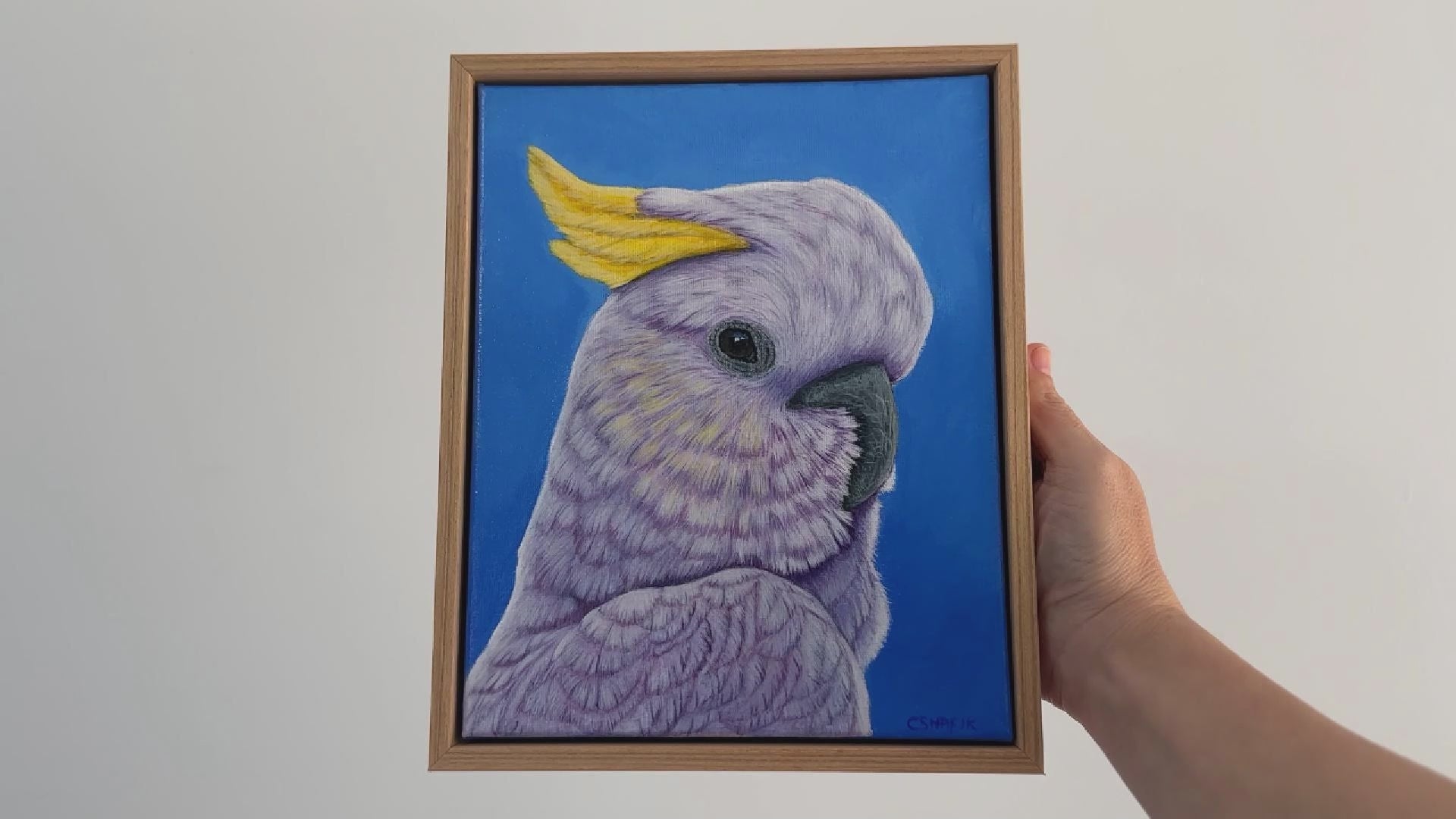 Video of Sulfur-crested Cockatoo painting