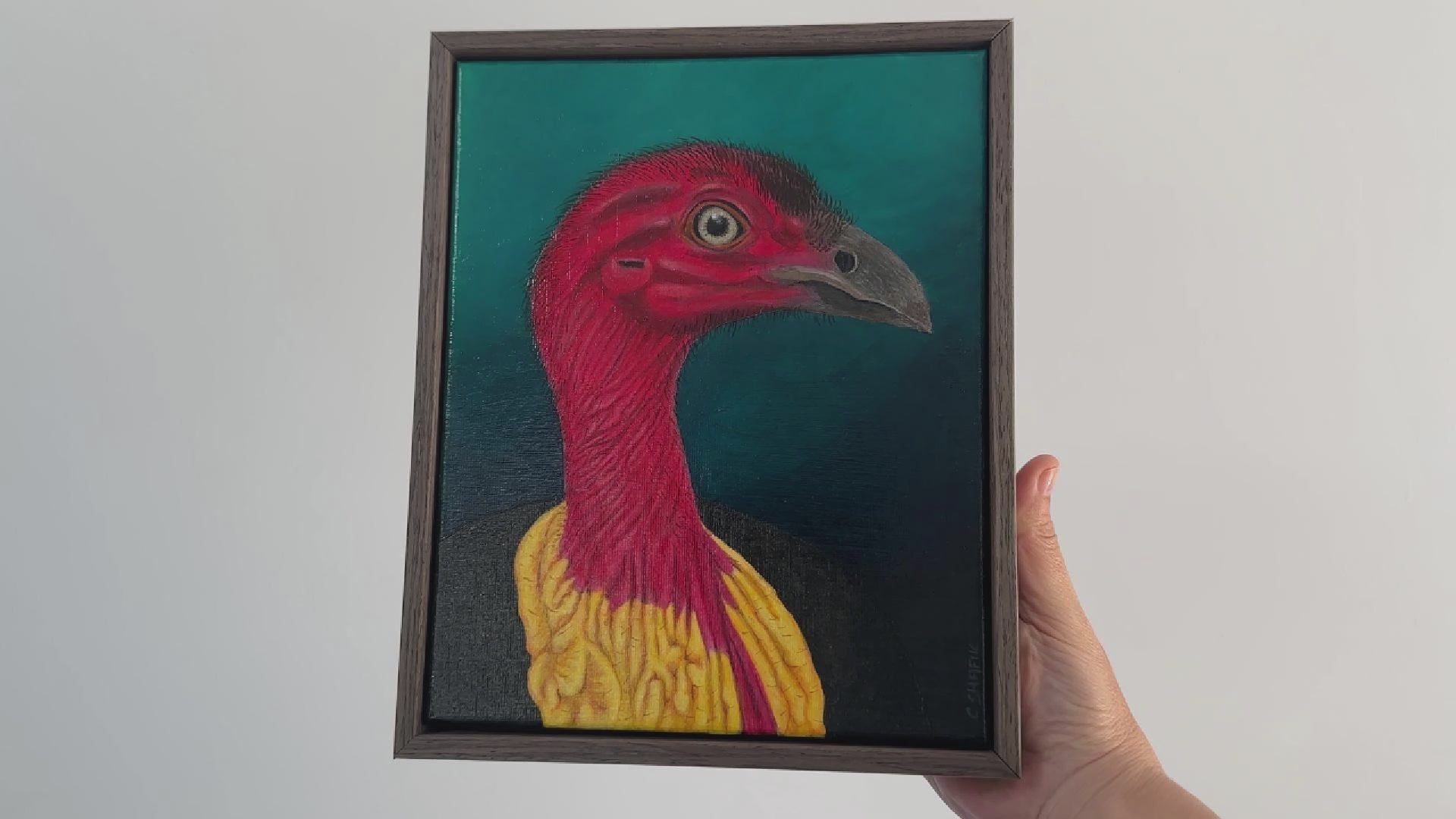 Video of Bush Turkey painting