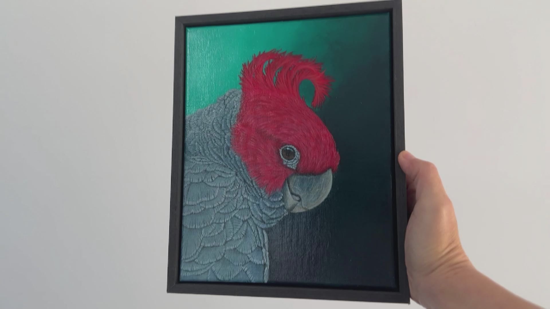 Video of a Gang Gang acrylic painting